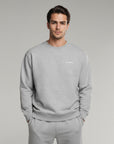 Men's premium sweatshirt in light grey, front view