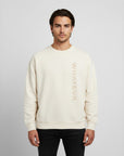 Men's premium sweatshirt in beige, front view
