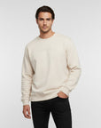 Men's premium sweatshirt in beige, front view