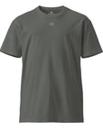 Men's premium t-shirt in gray, front view