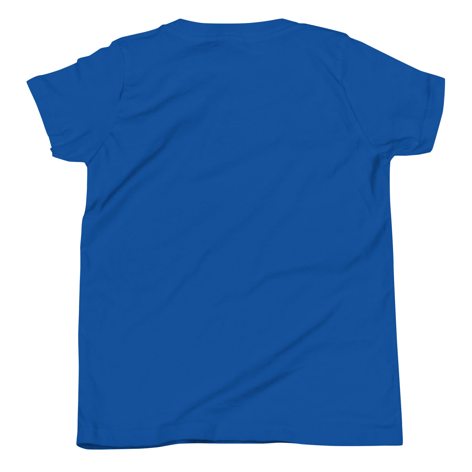 Boys' essential lightweight t-shirt in blue, back view.