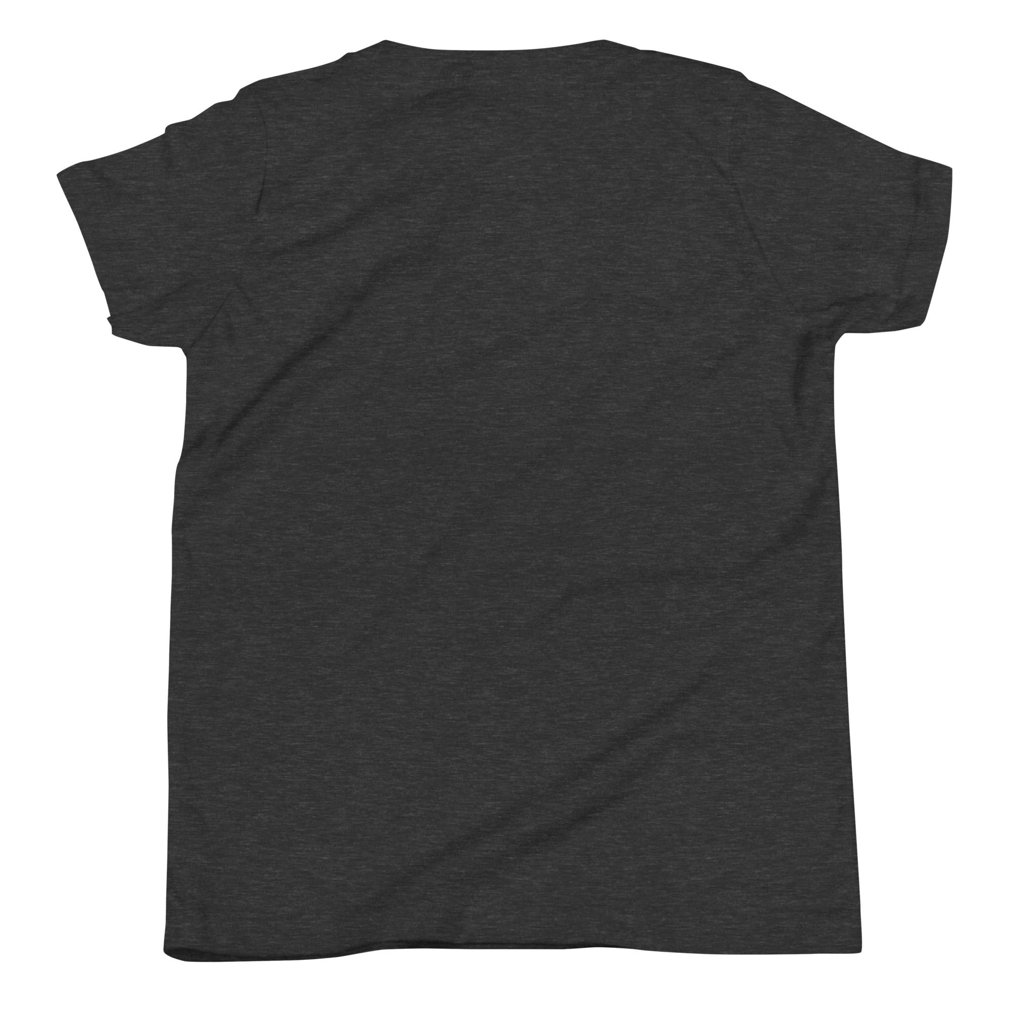 Boys' essential lightweight t-shirt in gray heather, back view.