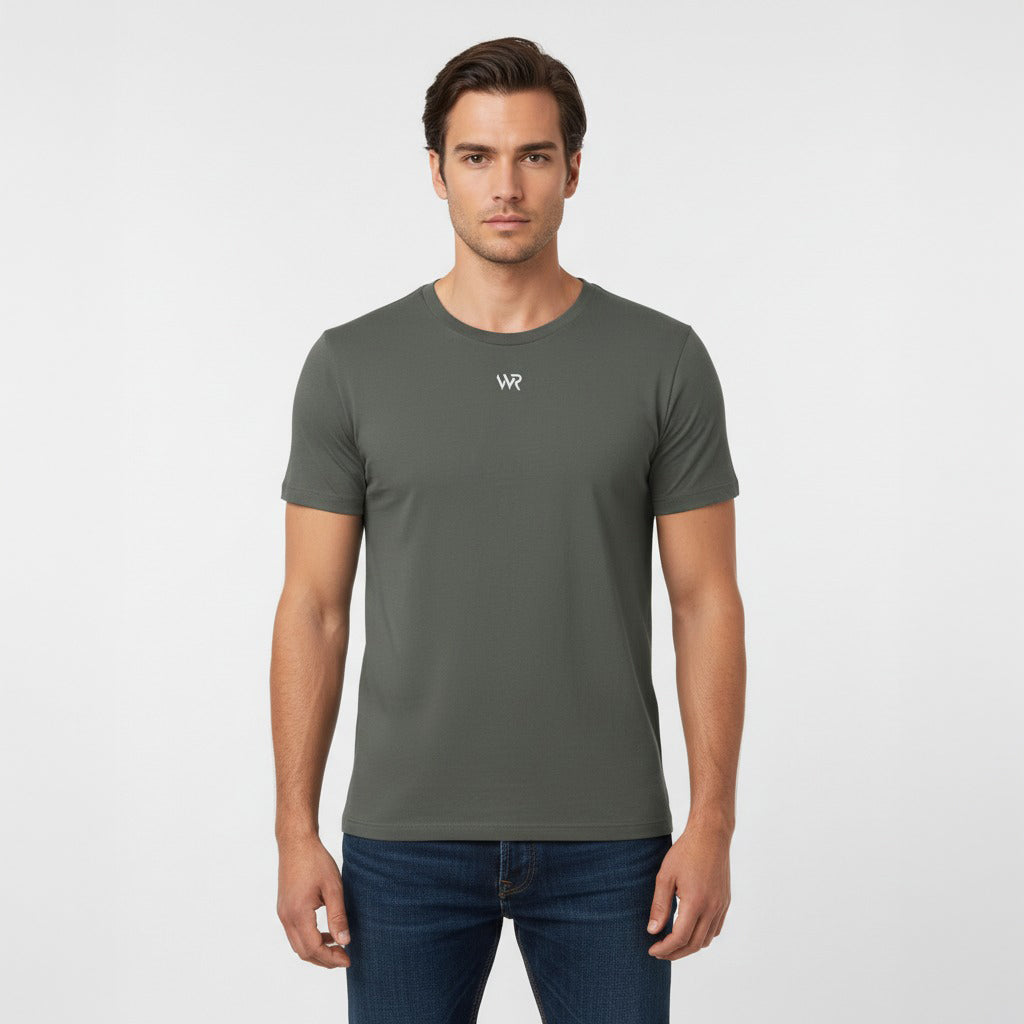 Men's premium t-shirt in gray, front view