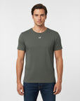 Men's premium t-shirt in gray, front view