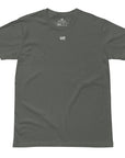 Men's premium t-shirt in gray, front view