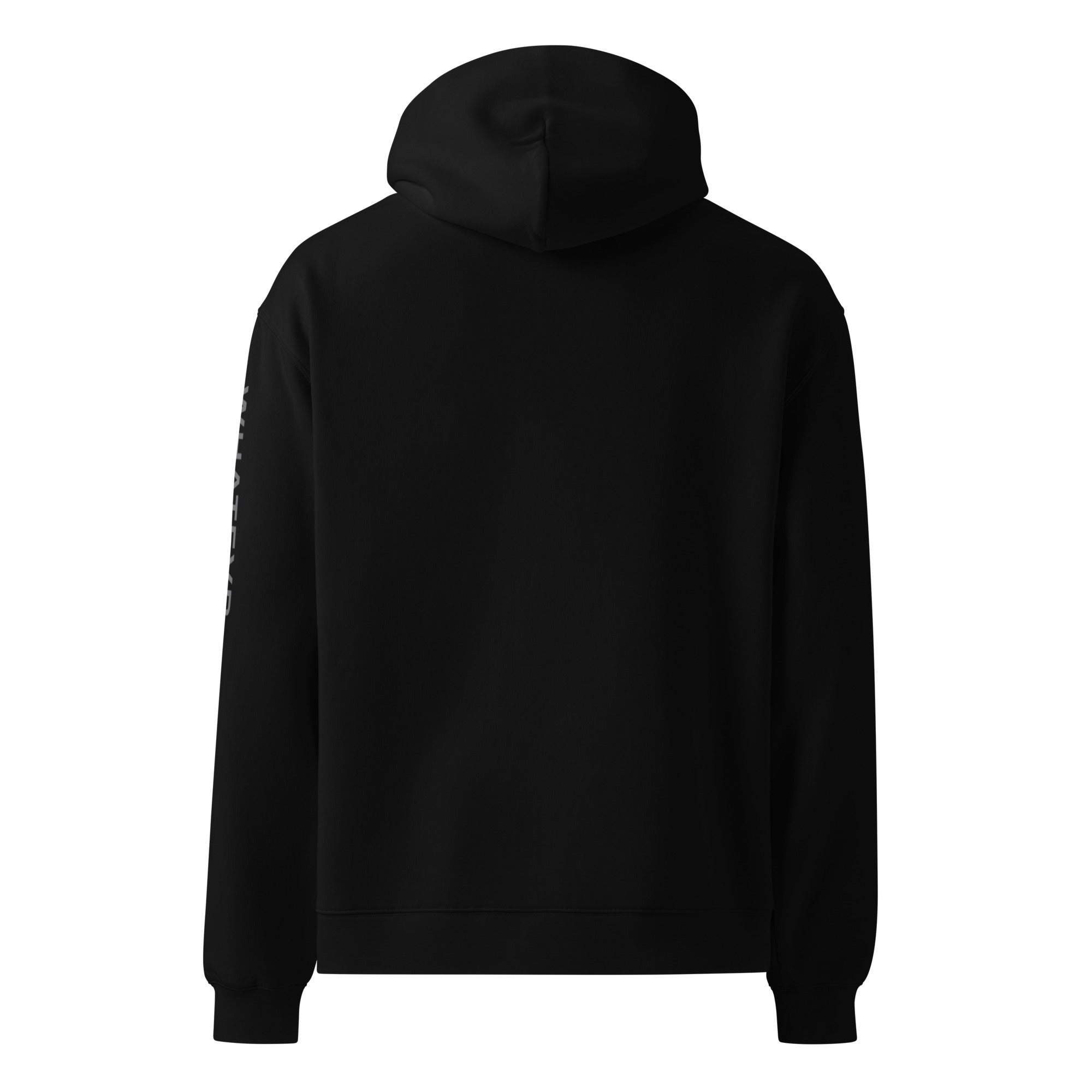 Men's premium heavyweight hoodie in black, back view.