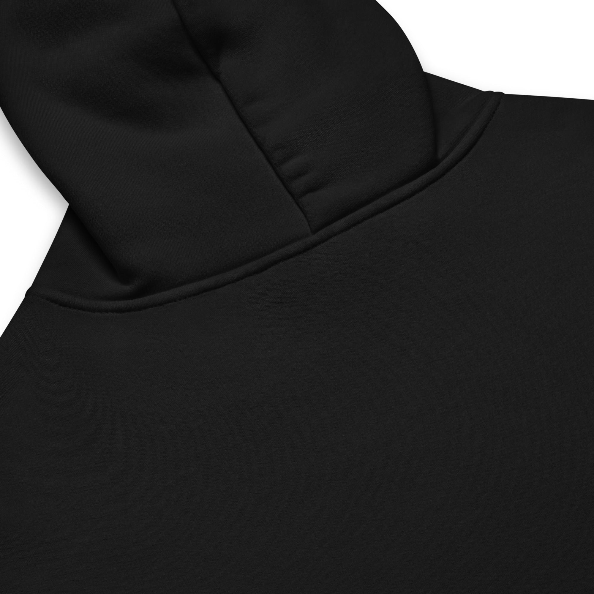 Men's premium heavyweight hoodie in black, back view.