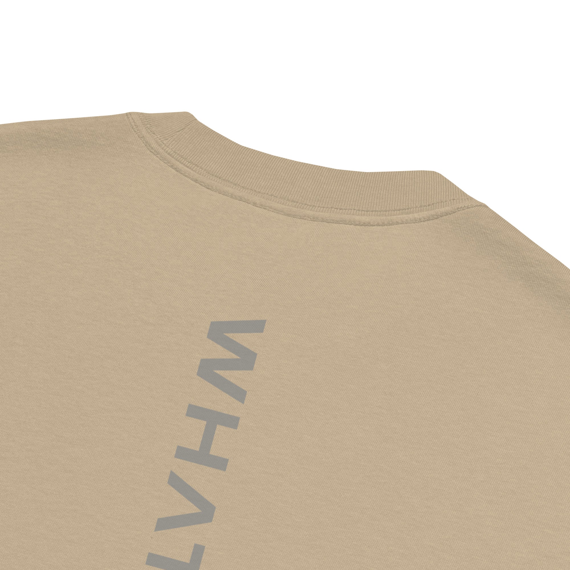 Men's premium heavyweight oversized t-shirt in khaki, back view