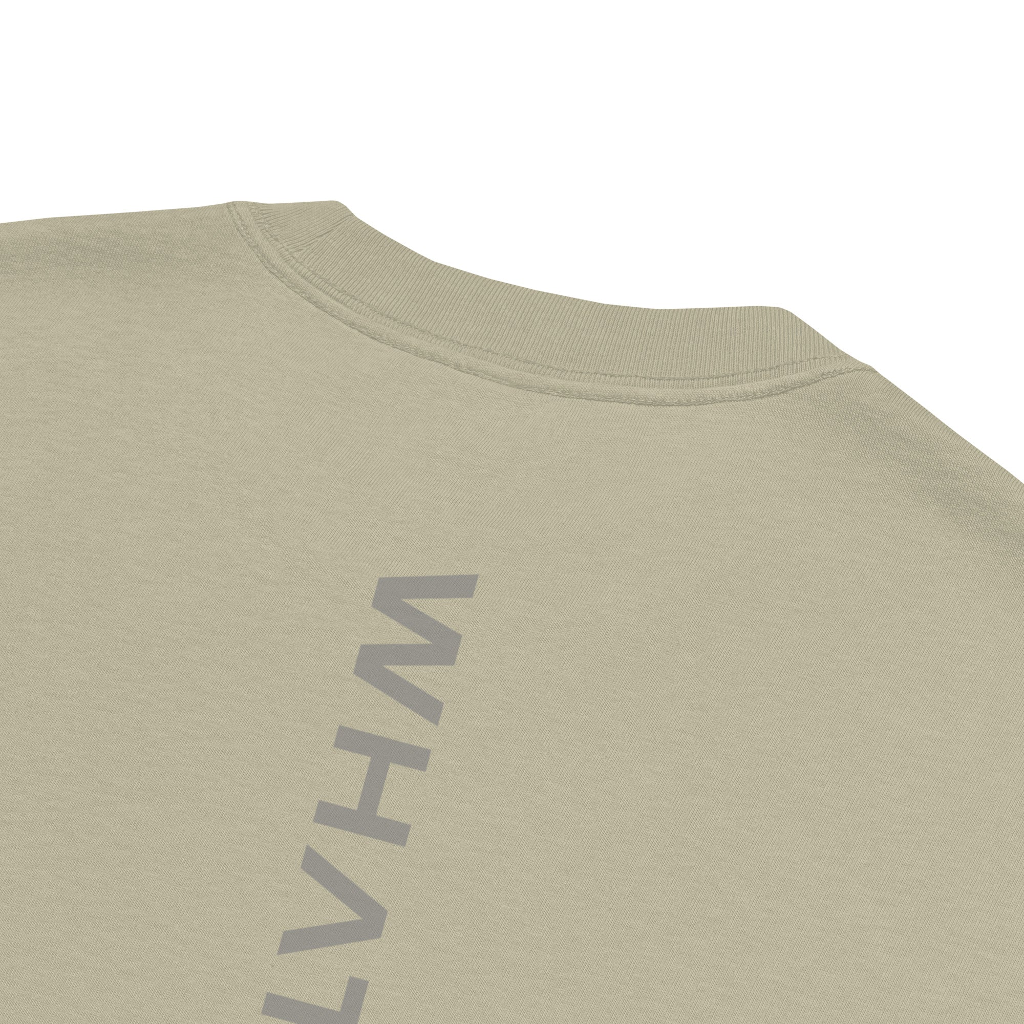 Men's premium heavyweight oversized t-shirt in sage, back view