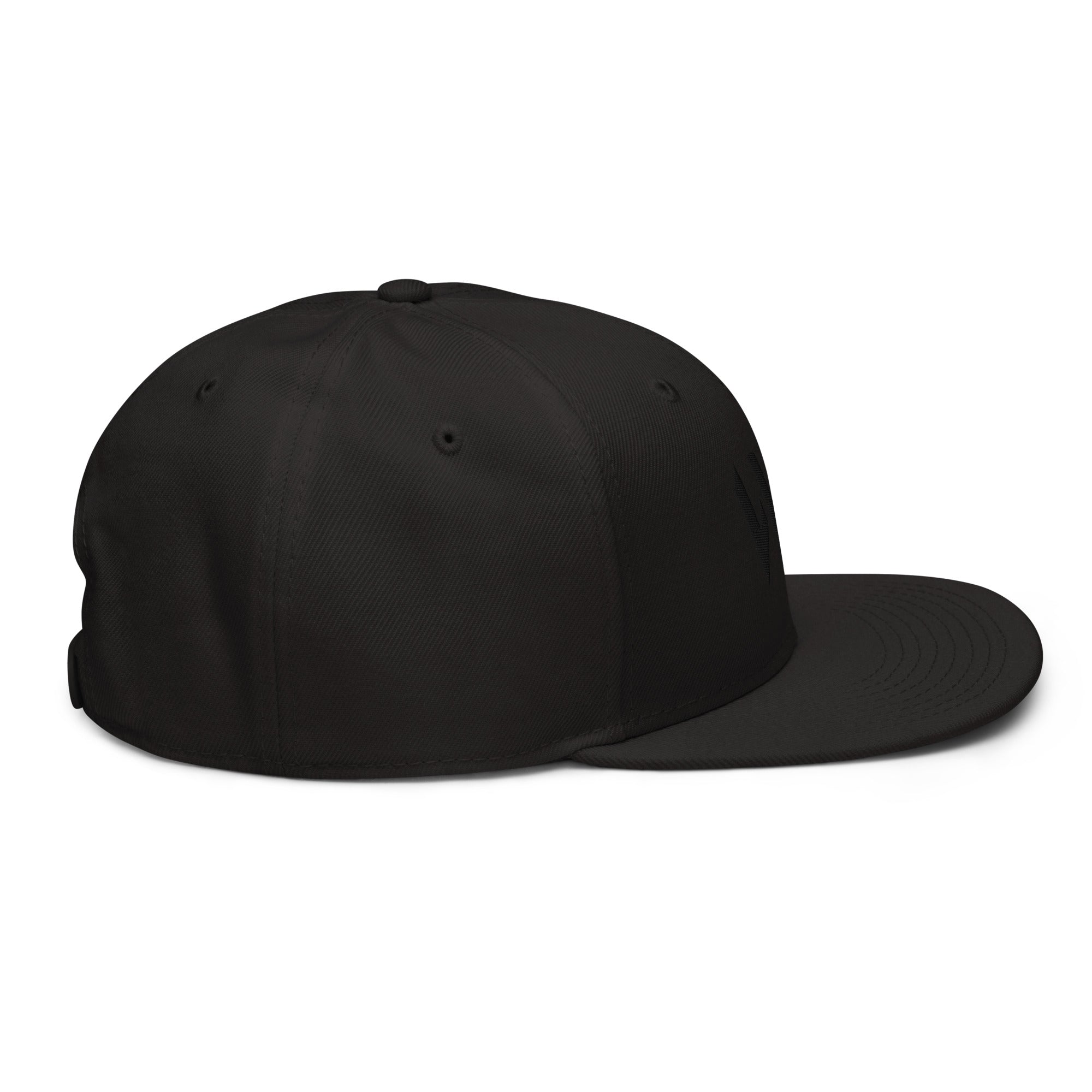 Unisex Tonal snapback hat in black with embroidered WR logo, side view