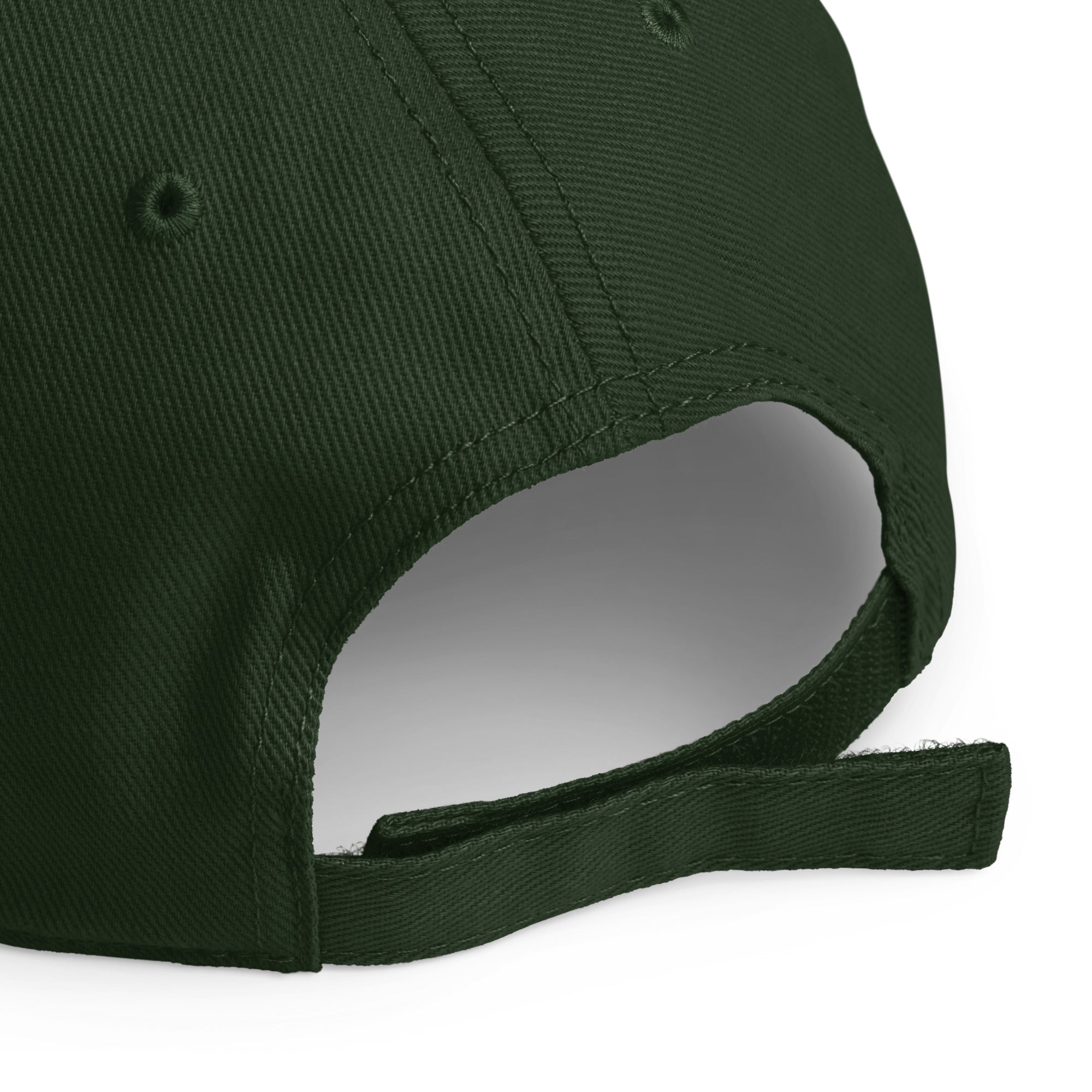 Unisex Unbothered baseball cap in green with embroidered WR logo, back view