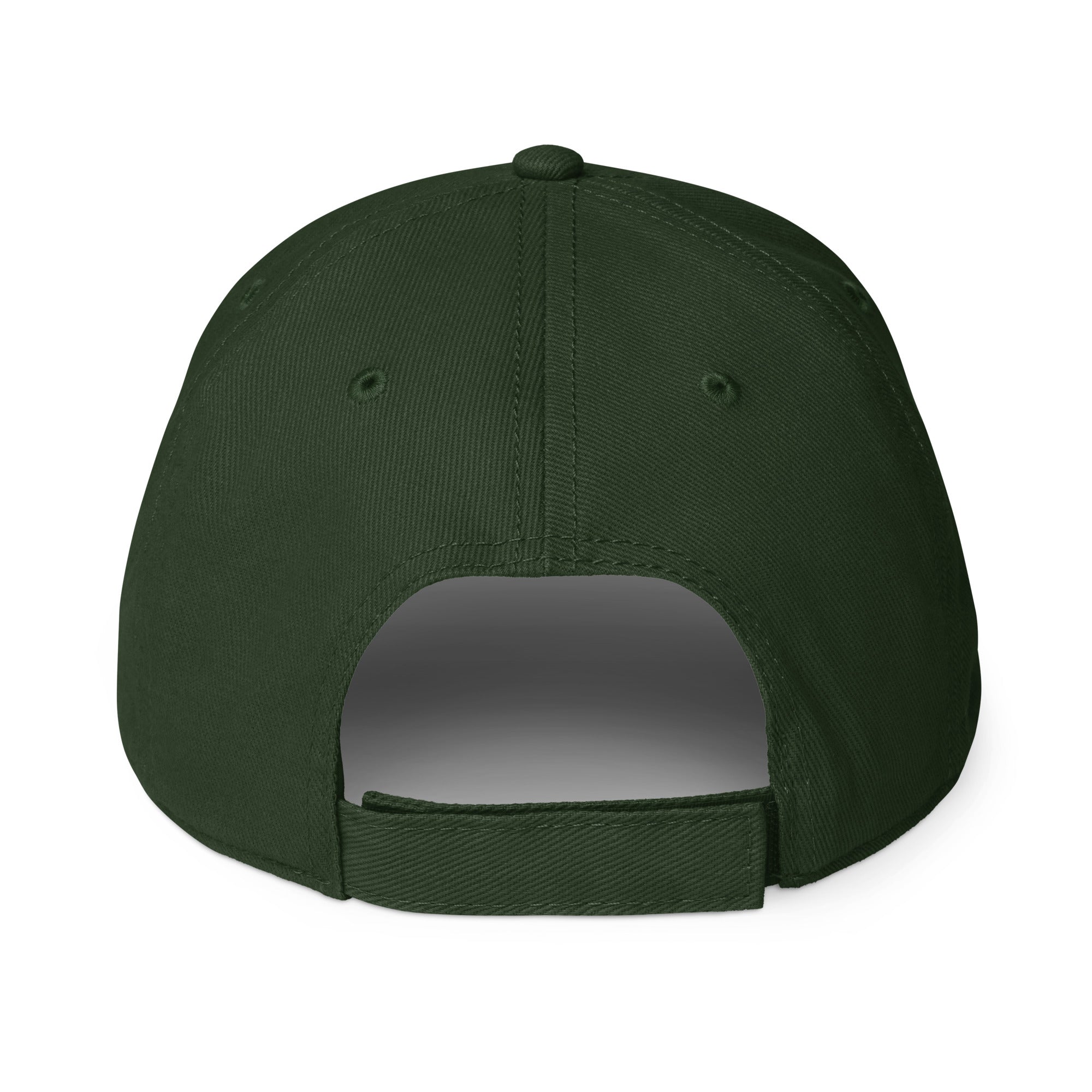 Unisex Unbothered baseball cap in green with embroidered WR logo, back view