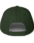 Unisex Unbothered baseball cap in green with embroidered WR logo, back view
