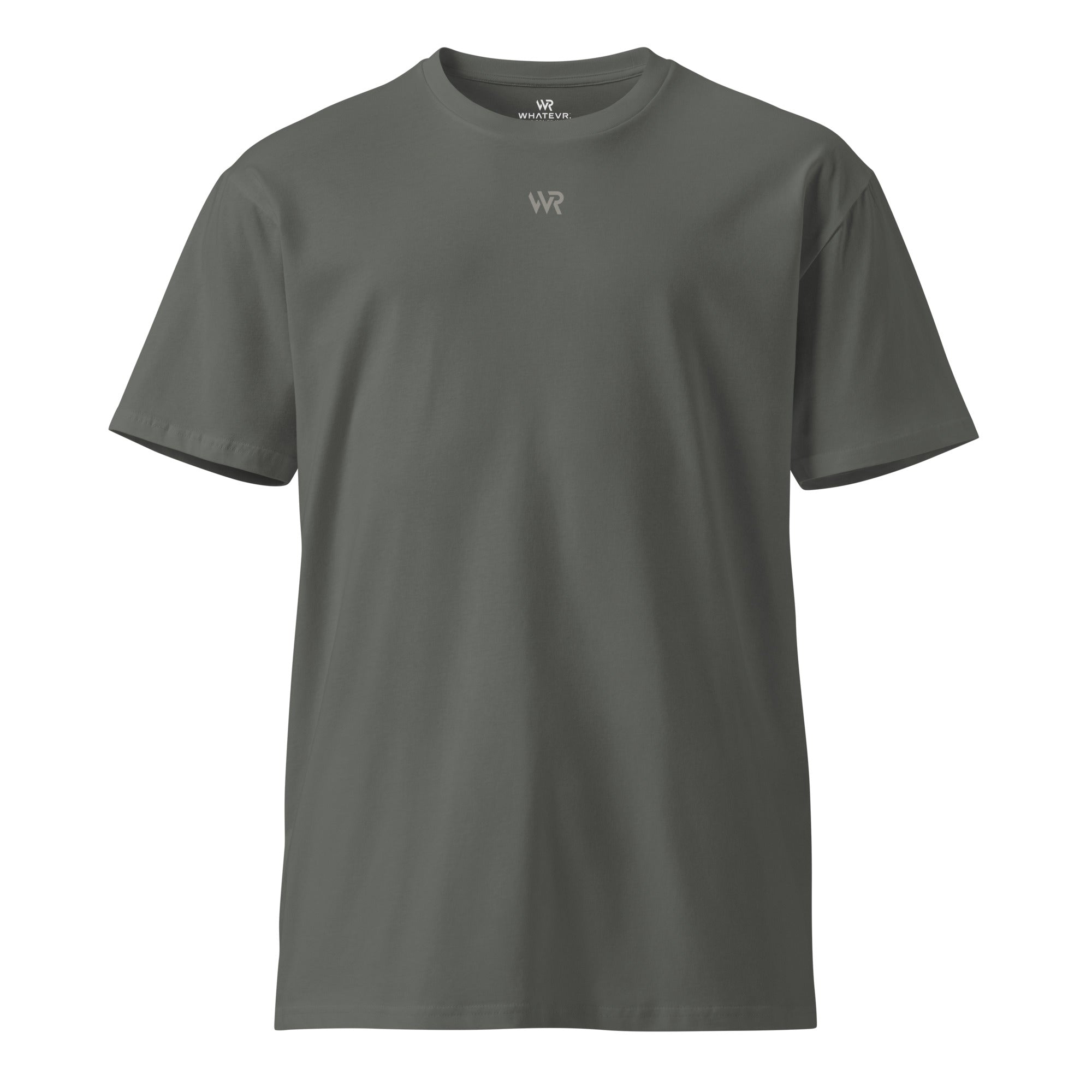 Women's premium t-shirt in gray, front view