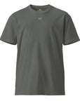 Women's premium t-shirt in gray, front view